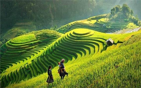 Sapa trek tour with homestay 3 days 4 nights